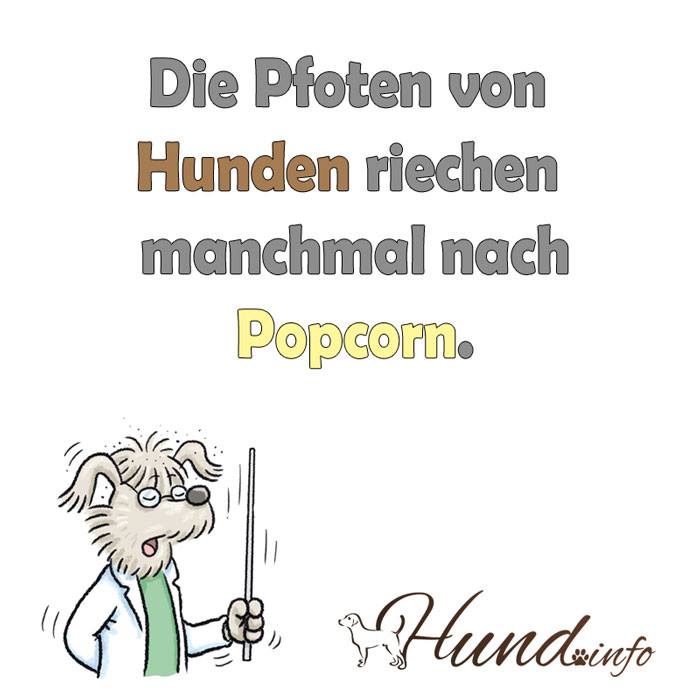 Poco Domane Ingolstadt Ingolstadt Geschaft Fur Teppiche Und