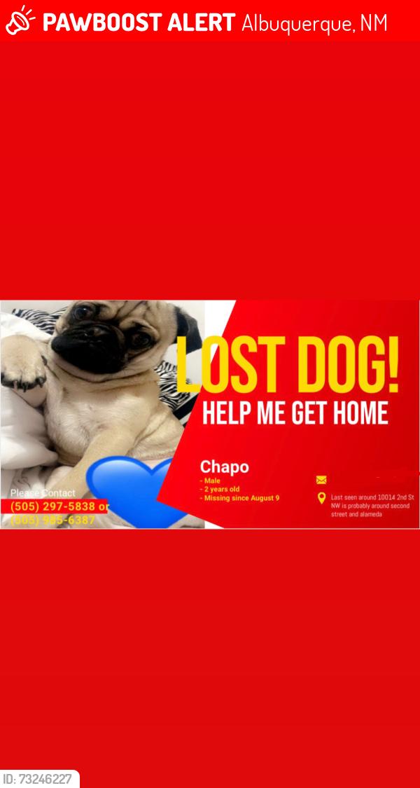 🚨 Chapo was LOST YESTERDAY in Albuquerque, NM 87114 near alameda