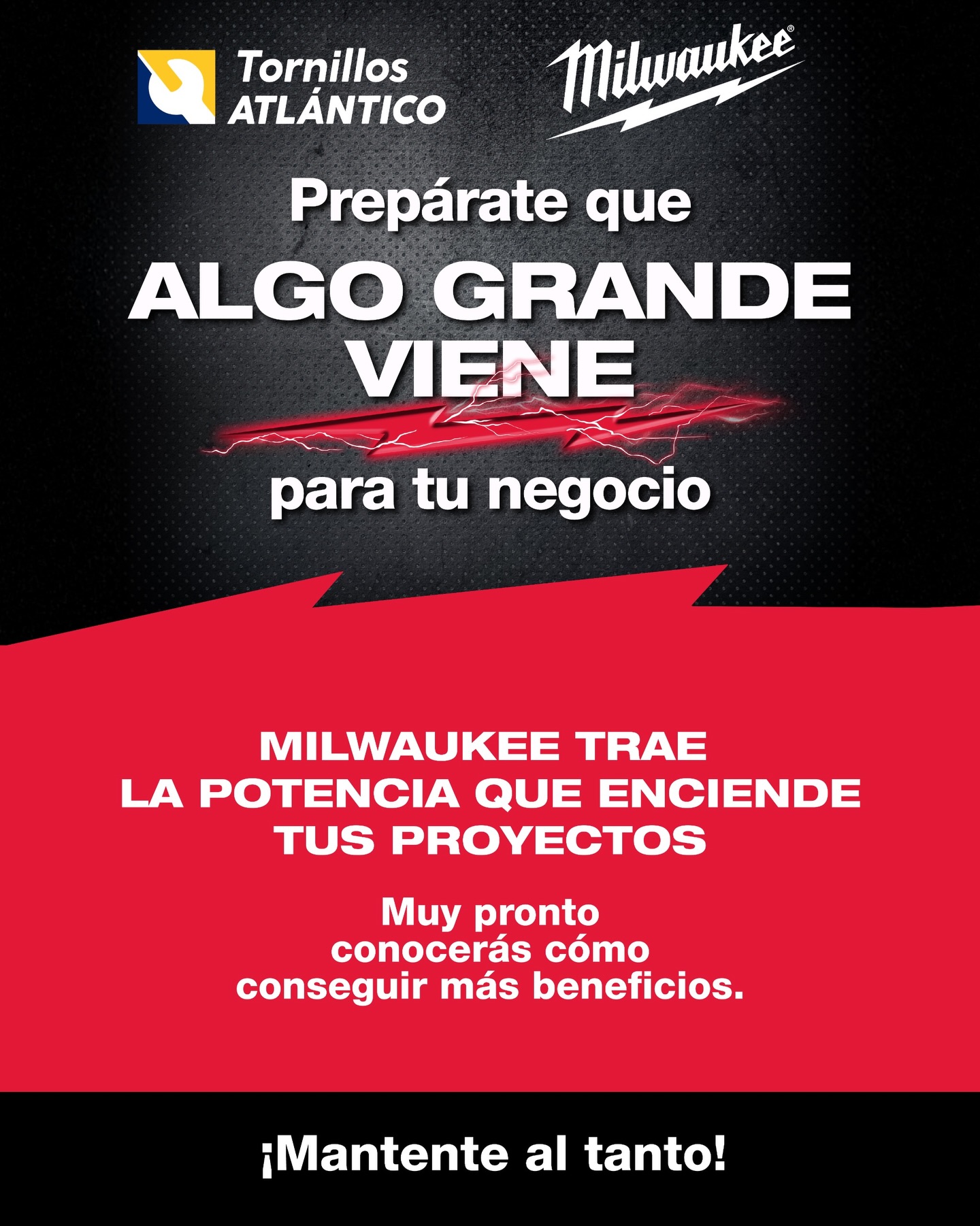 Tornillos Atlantico added a new... - Tornillos Atlantico