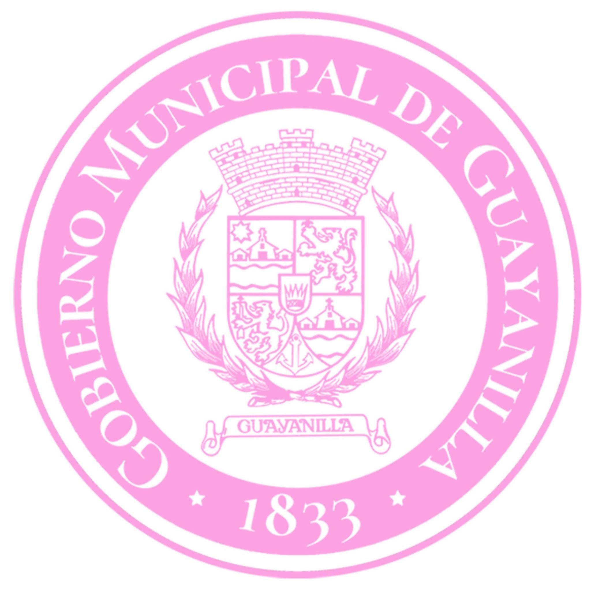 ¡TODO PUERTO RICO CONTIGO,... - Gobierno Municipal Guayanilla | Facebook