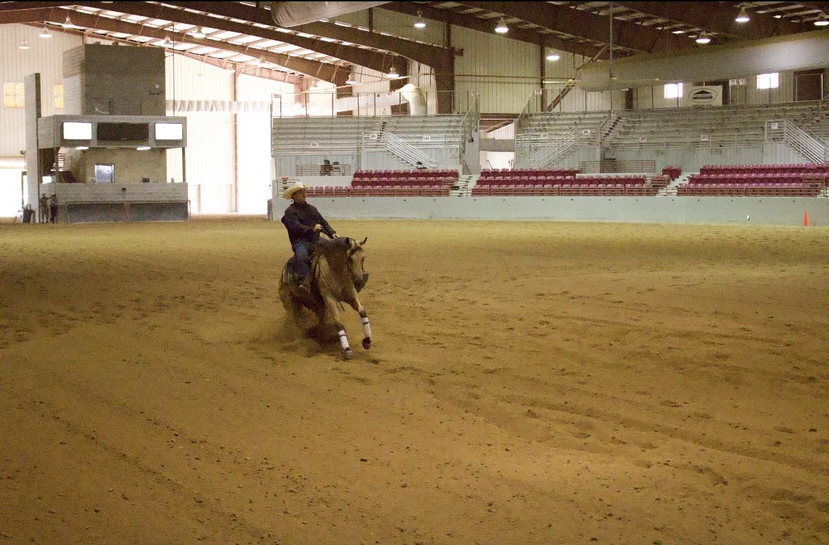 ERAF -... - ERAF - Equine Rescue and Adoption Foundation