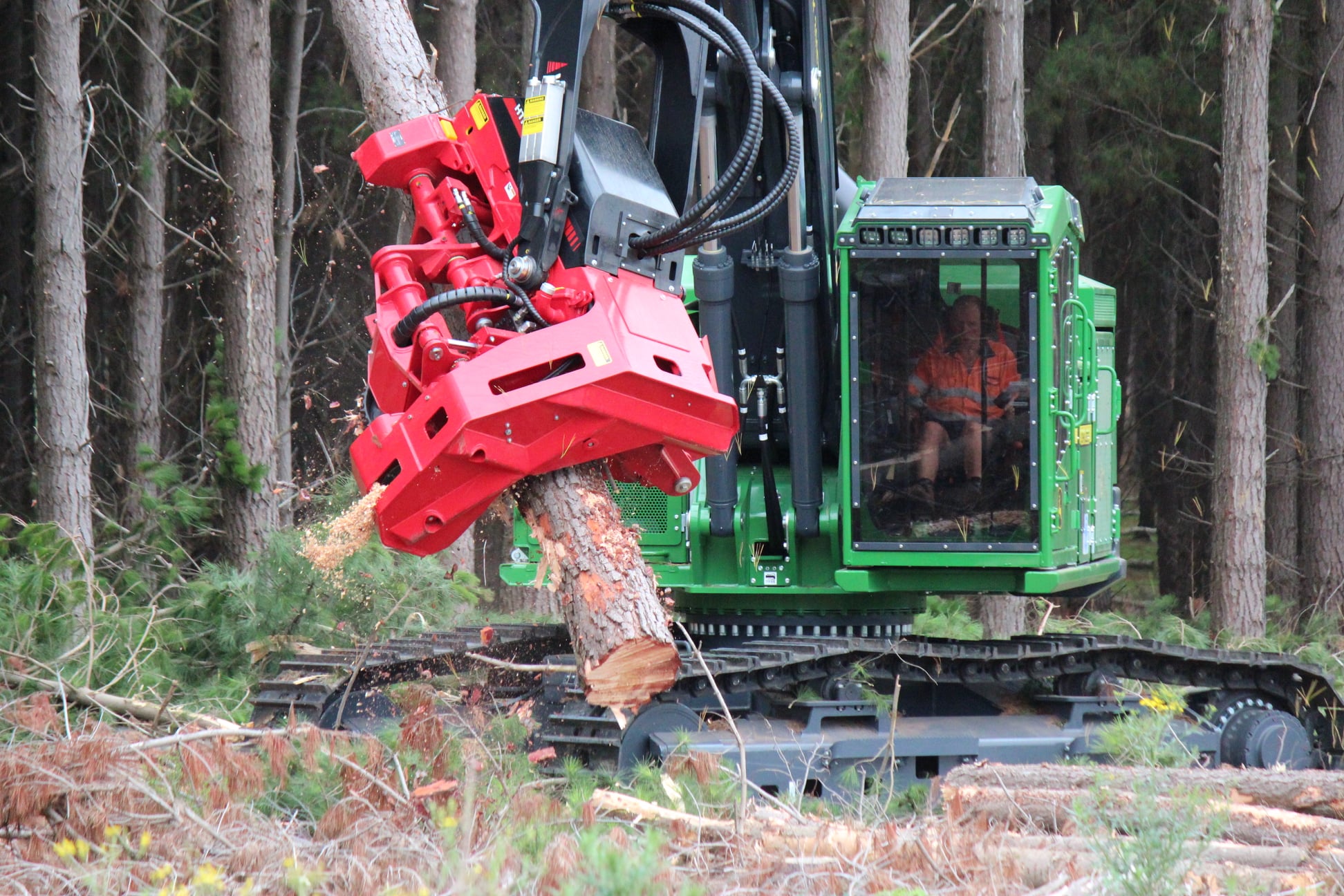 Merrett Logging | Penola SA