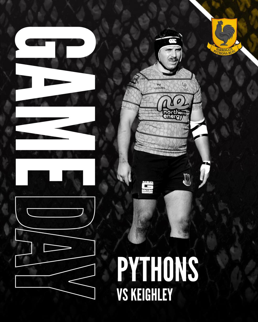 Harrogate - GAME DAY 🐍 Rugby is back for the first time in 2026 and the ...
