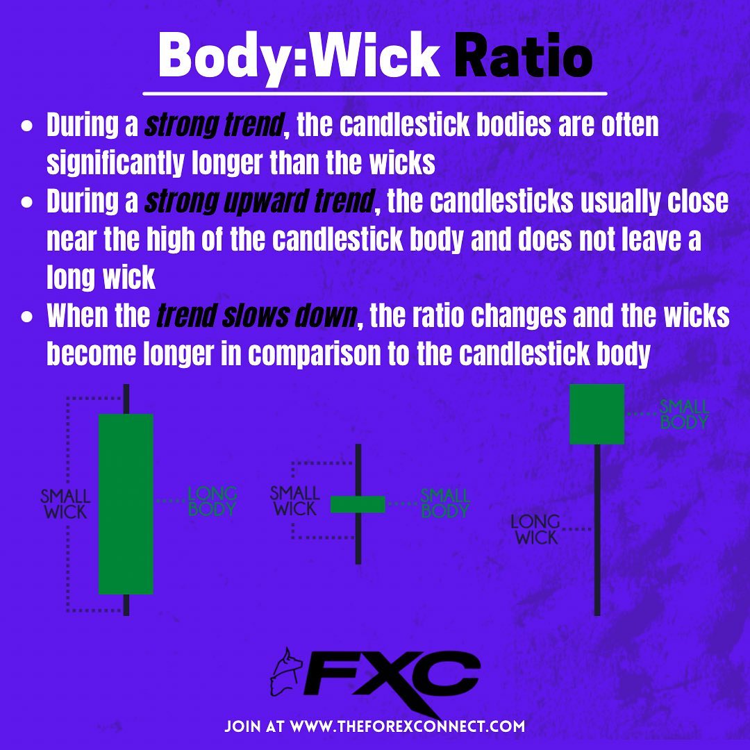 The Forex Connect - FXC Academy