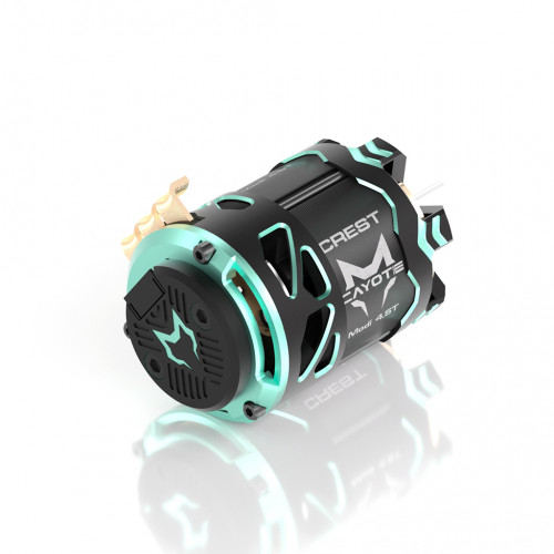 Cayote Racing lipo batteries and motors restocked
