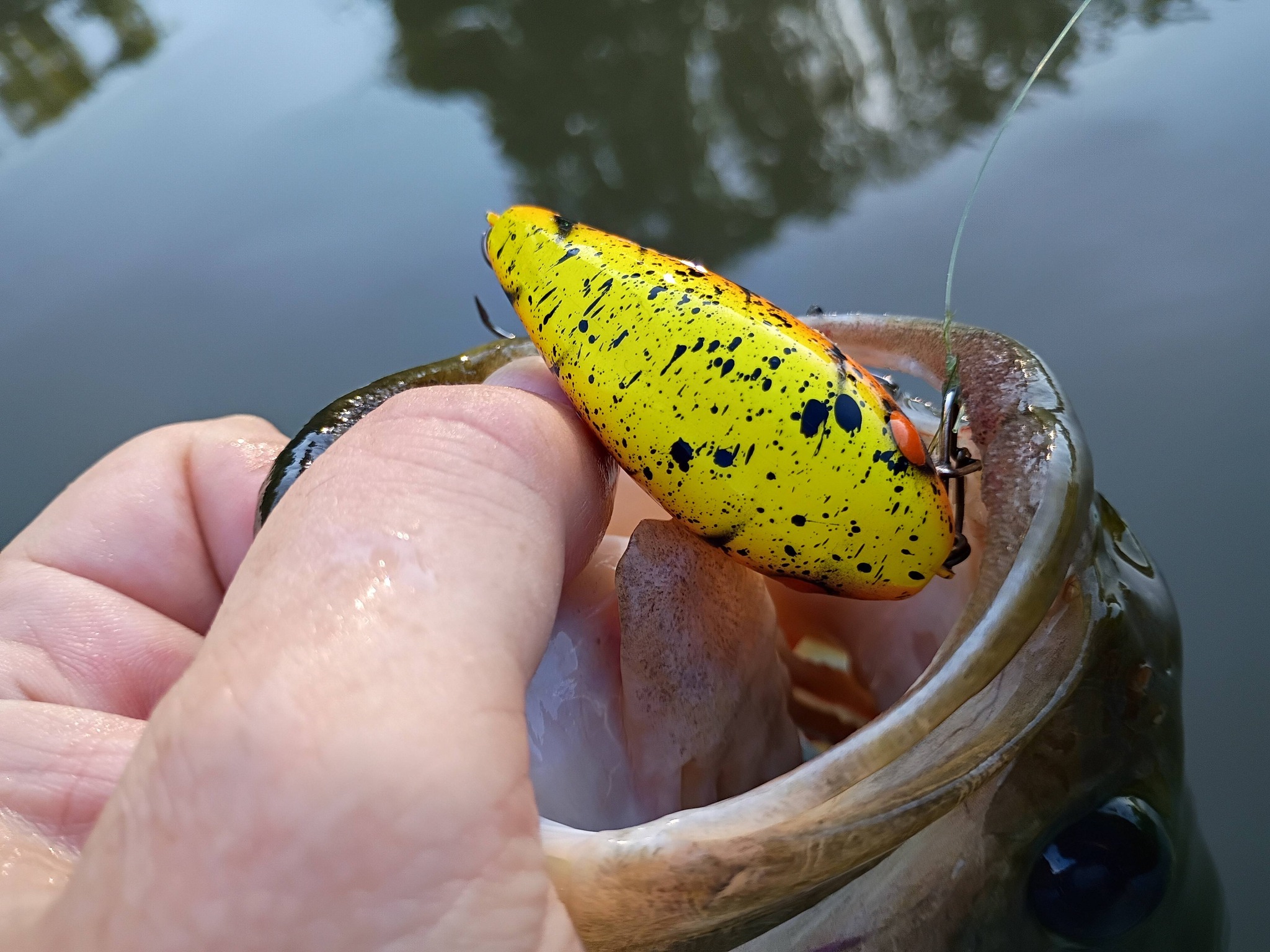moulinet casting shimano curado 301 K Big game fishing accessories Model:PIC36M creating a much quieter Die Weinmacher Blue Fish