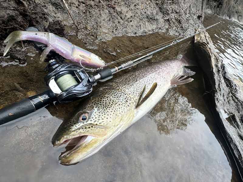 Megabass - 《メガバスショップin西春店情報》 新製品 反町隆史氏