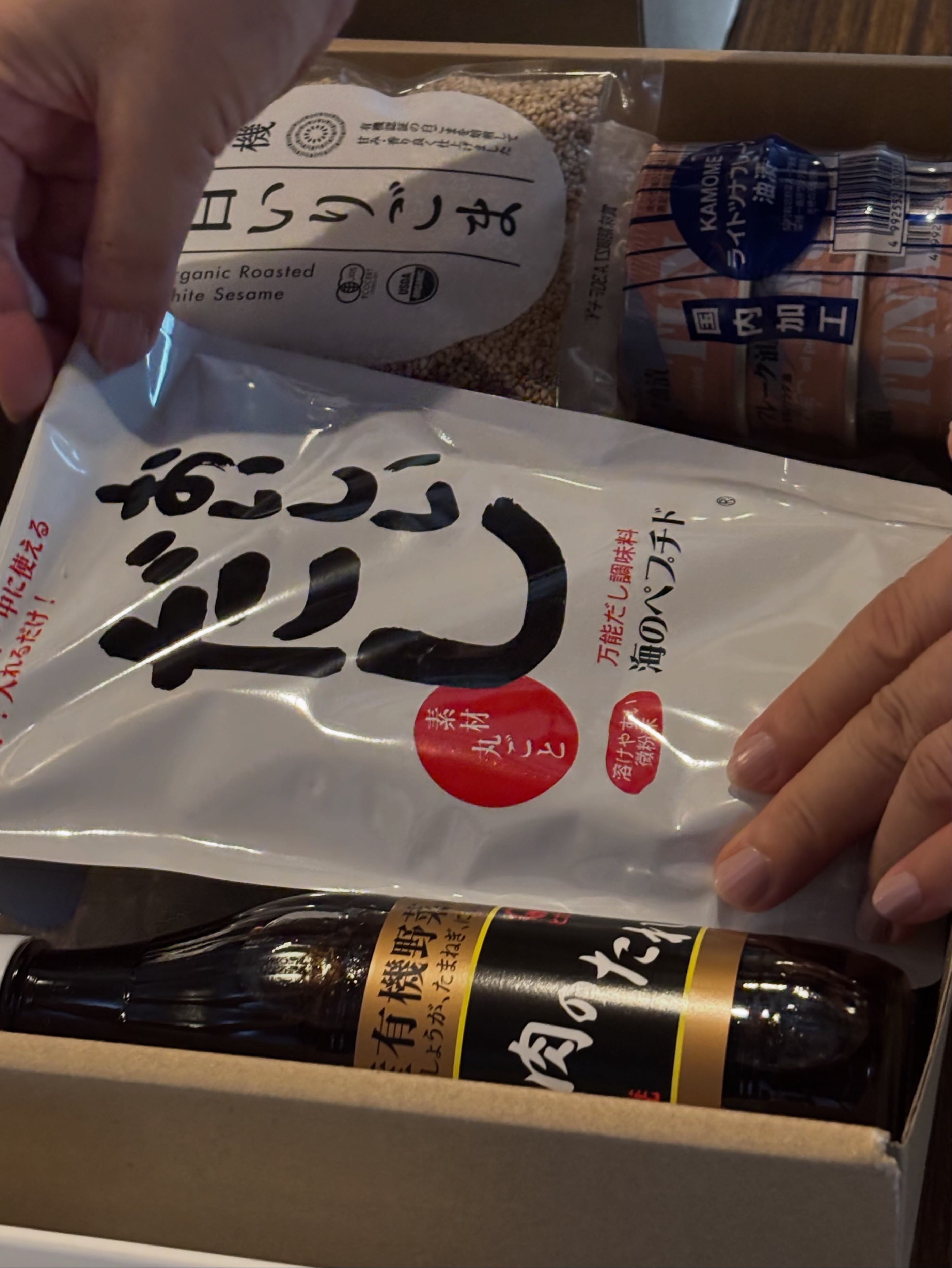 フリーエレクトロン　森修焼　箱付き なぜフリーエレクトロンを買ったのか？】 森修焼の技術を発展させ