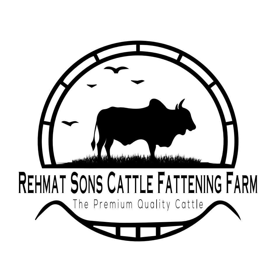 Rehmat Sons Cattle Fattening Farm | Mandi Pattoki