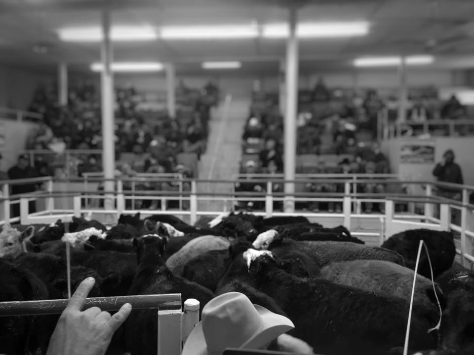 Reno County Stockyards | South Hutchinson KS