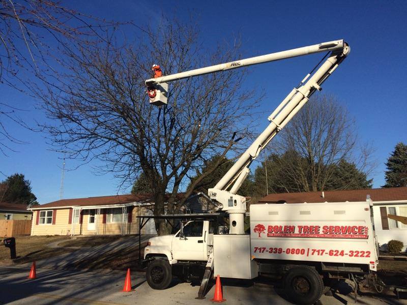 Bolen's Tree Service LLC | New Oxford PA