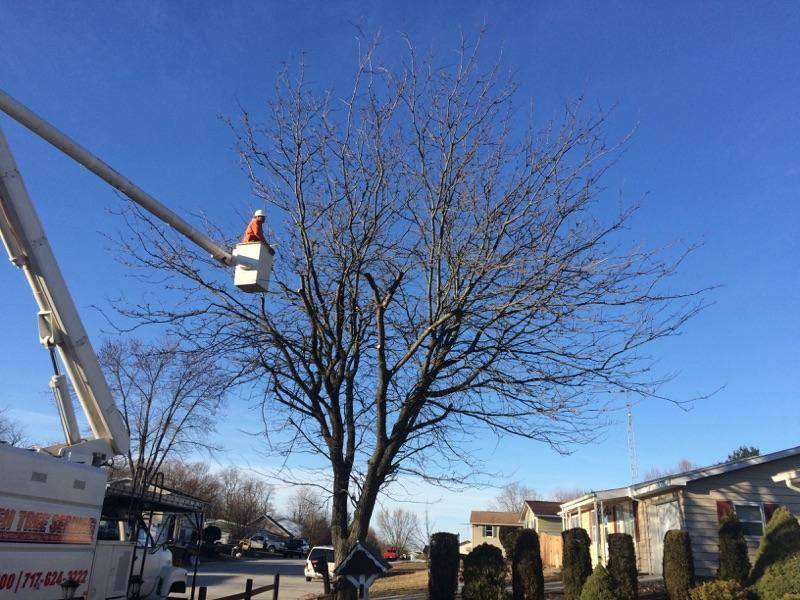 Bolen's Tree Service LLC | New Oxford PA