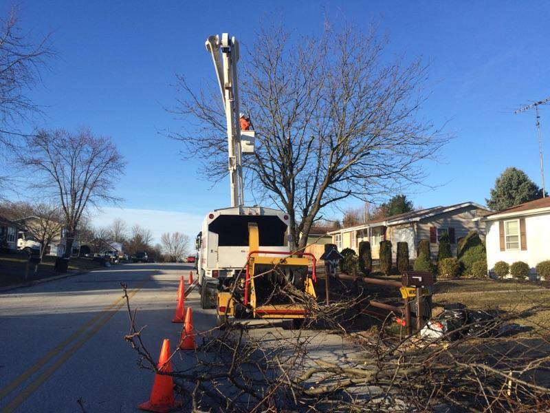 Bolen's Tree Service LLC | New Oxford PA