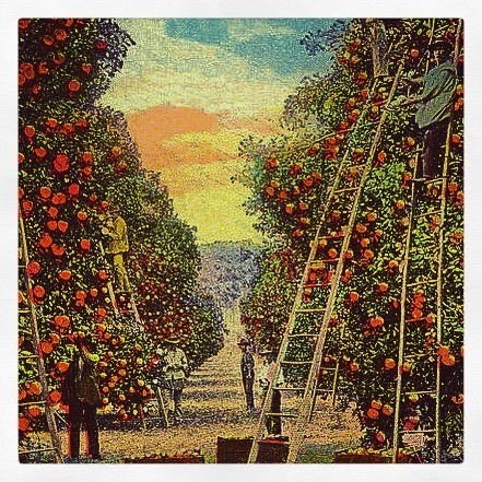 Bothwell Ranch Foundation | Los Angeles CA
