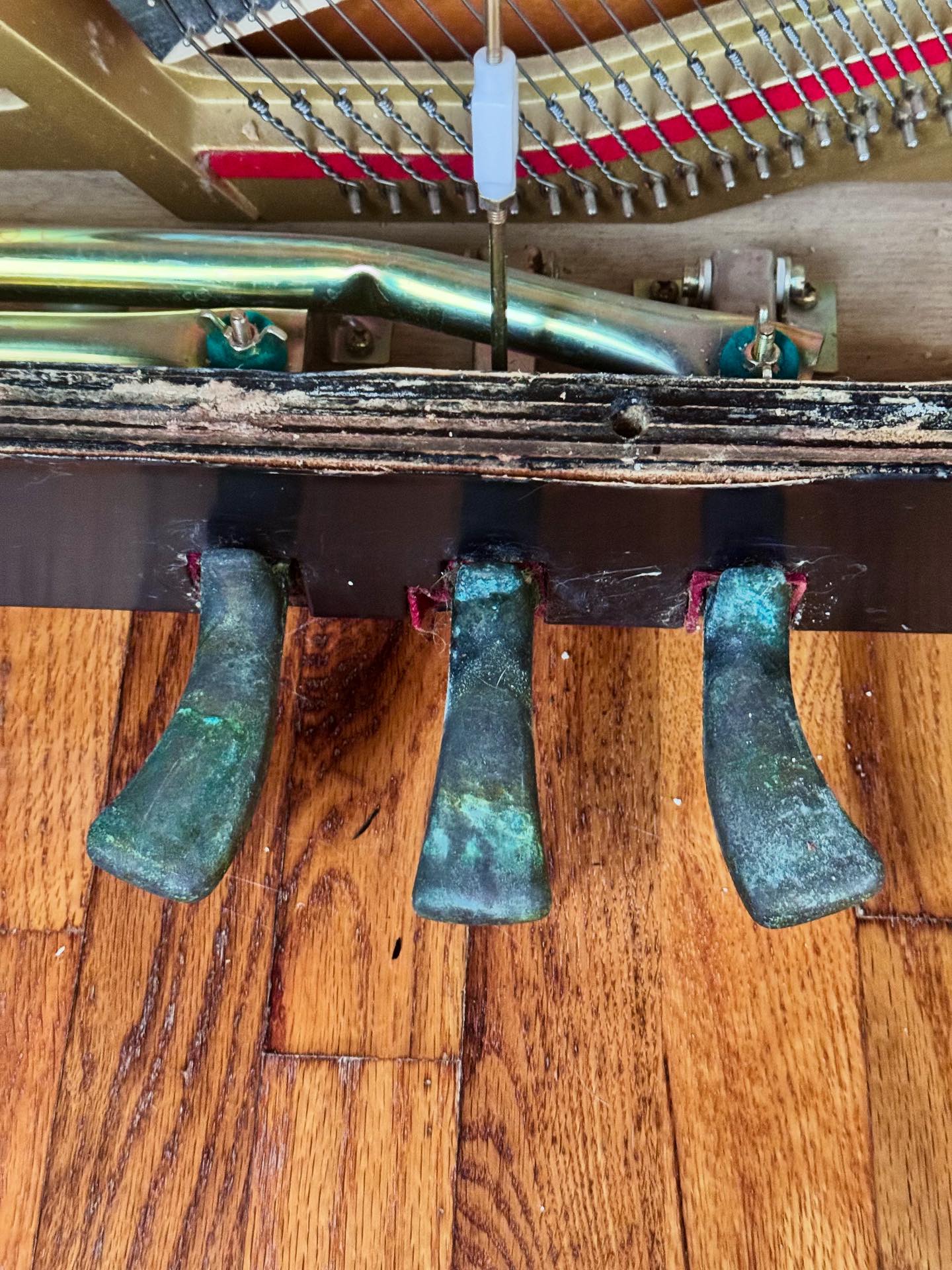 The cat 🐈 marked this Yamaha model... - A 440 Piano Service | Facebook
