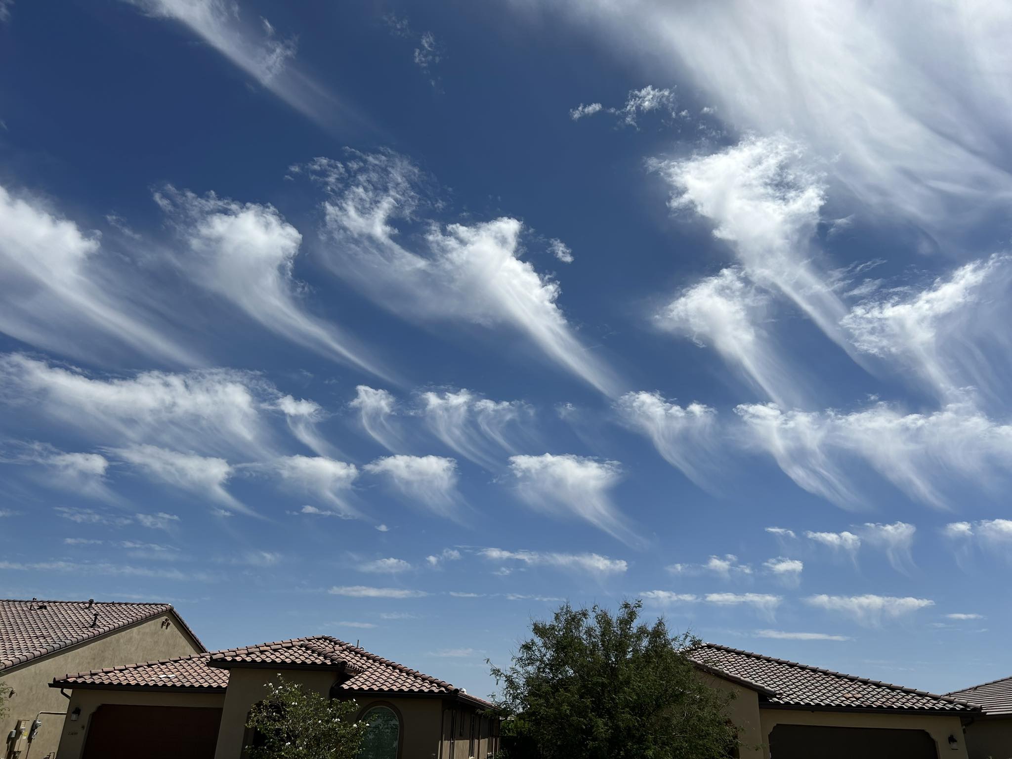 Meteorologist - 🪼 JELLYFISH CLOUDS 🪼 We have had several viewers ask us ...