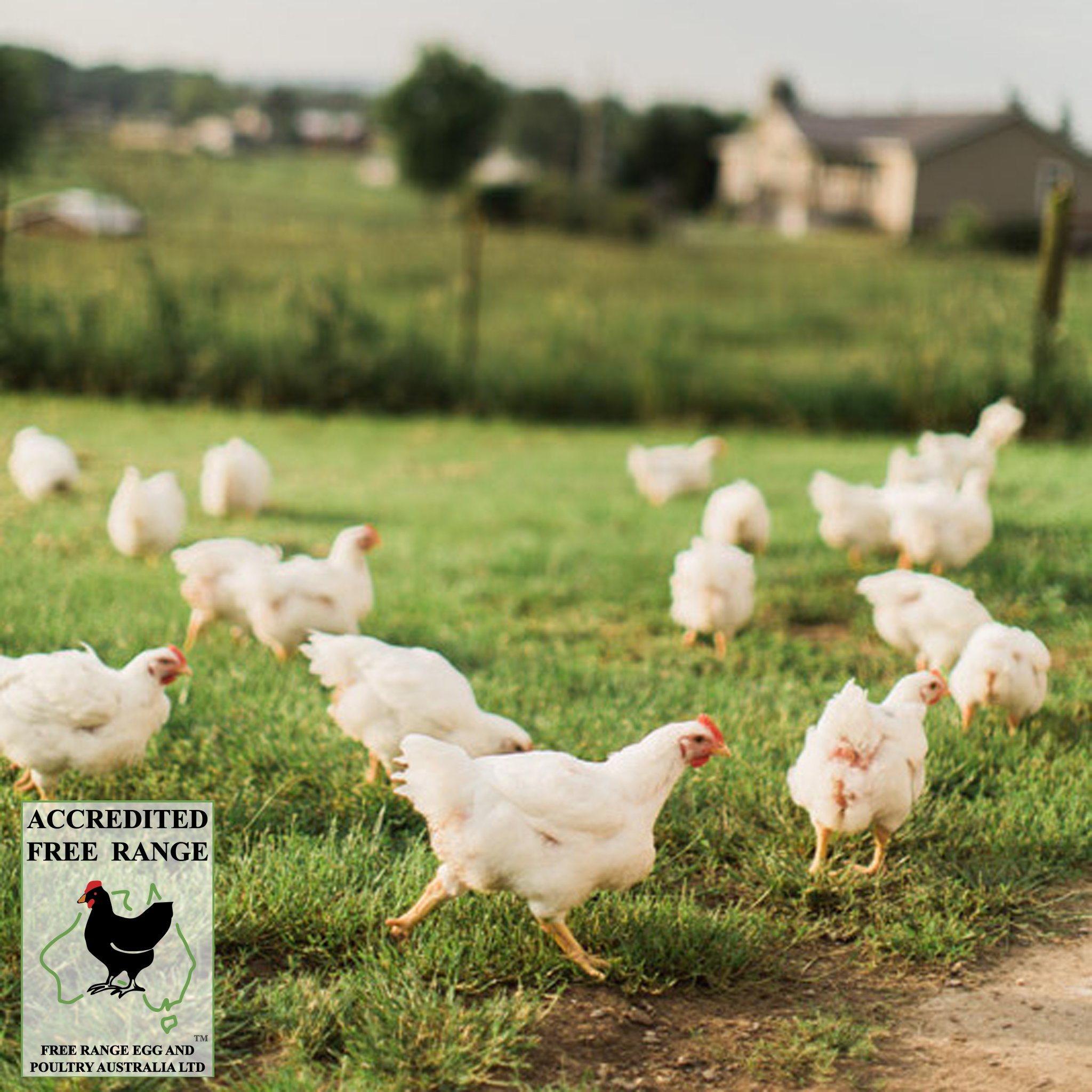 Free Range Egg and Poultry Australia - FREPA