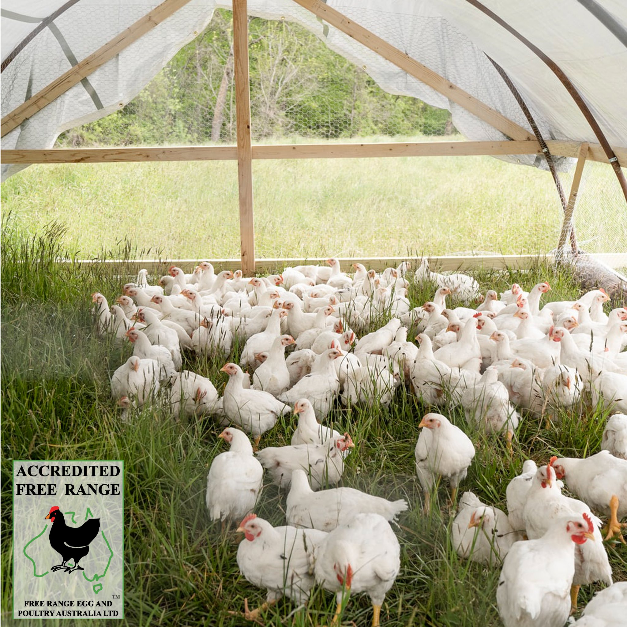 Free Range Egg and Poultry Australia - FREPA