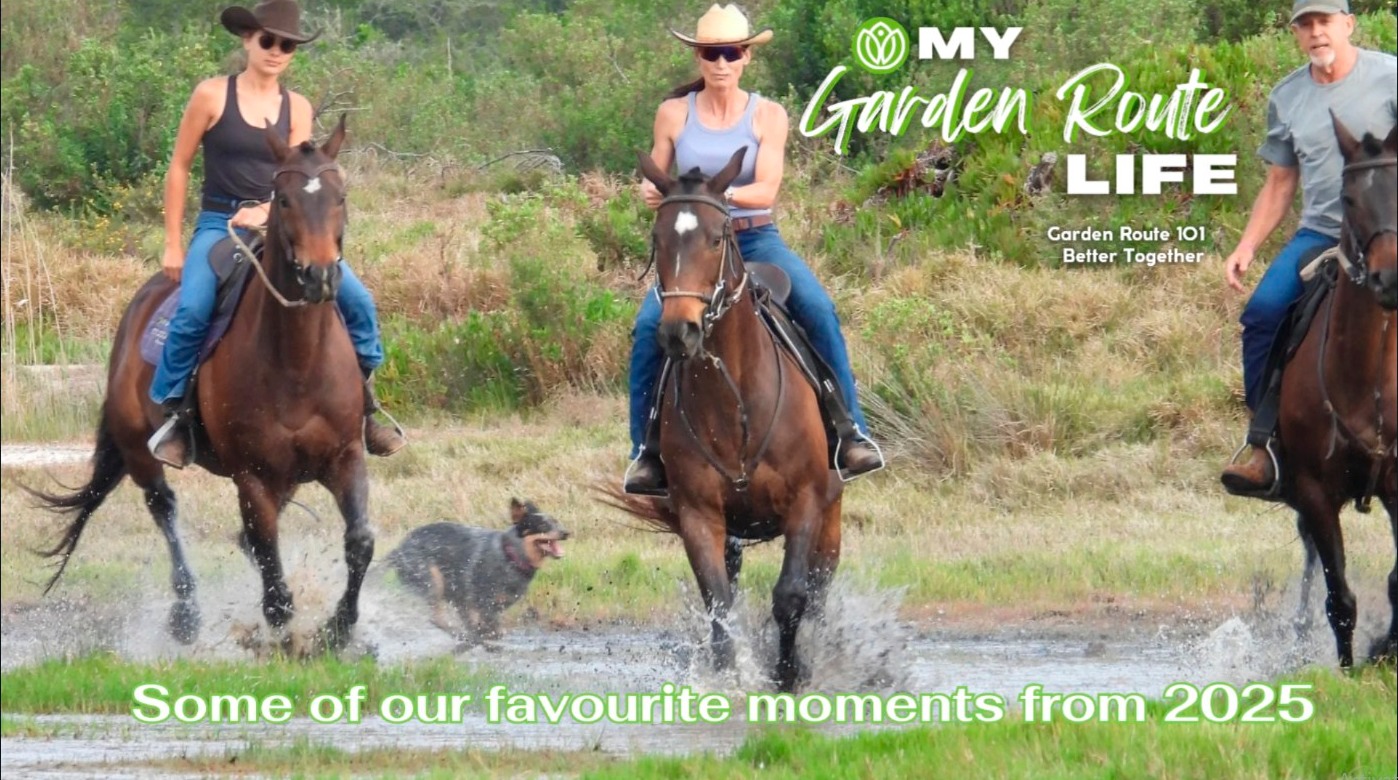 My - Jan 1, 2026! Cheers from My Garden Route Life Here’s to a great ...