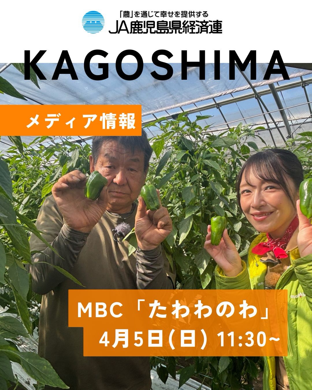ja 鹿児島 県 経済連