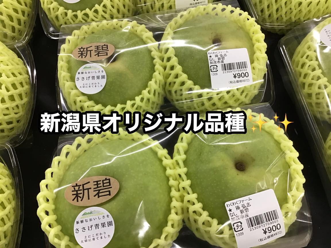 今が旬の『梨』続々と入荷中！ 🍐新碧(しんみどり)…新潟のオリジナル