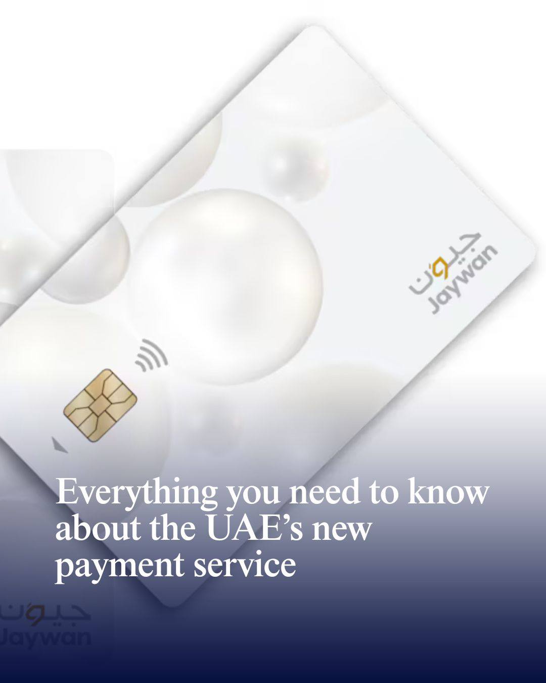 Network International activated Jaywan across thousands of e ...