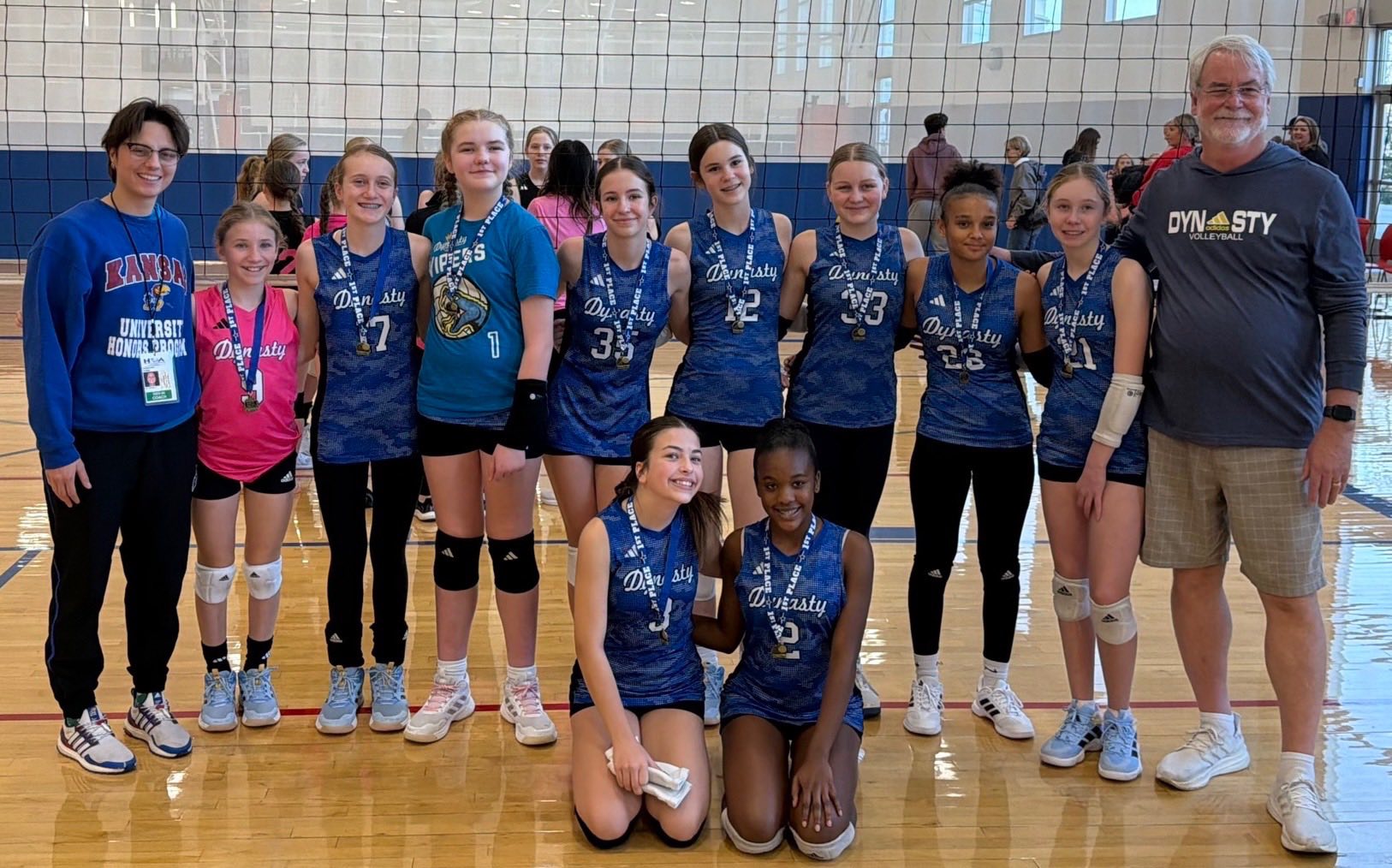Adidas Team Dynasty... - Adidas Team Dynasty Volleyball