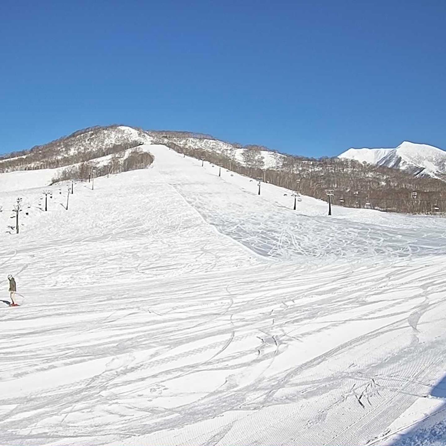 Niseko Moiwa Ski Resort (@NisekoMoiwaSkiResort) • Facebook