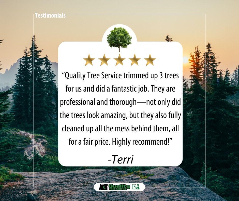 Quality - Thank you so much, Terri! We're thrilled to hear you loved ...