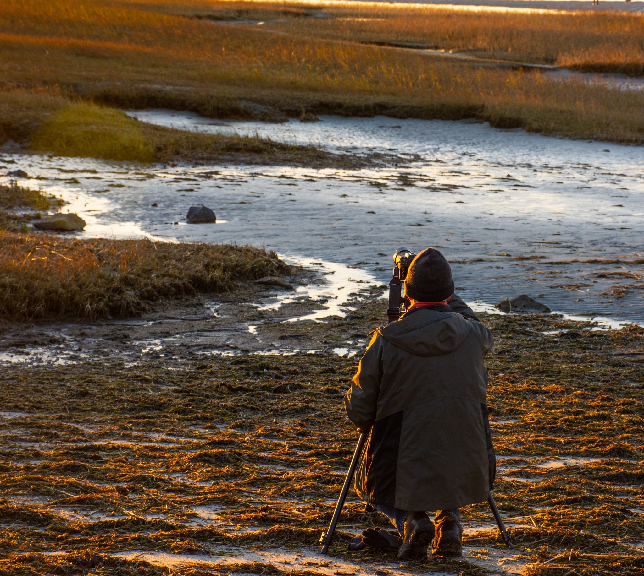 Darktable (Unofficial) | MetaData: Darktable uses sidecar file .xmp to ...
