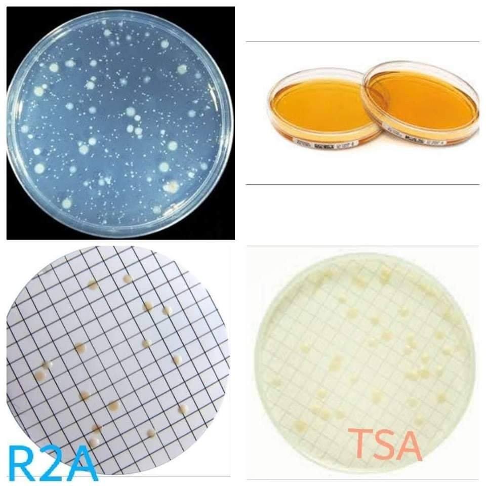 Main difference between R2A and TSA... - Elmicrobiologist