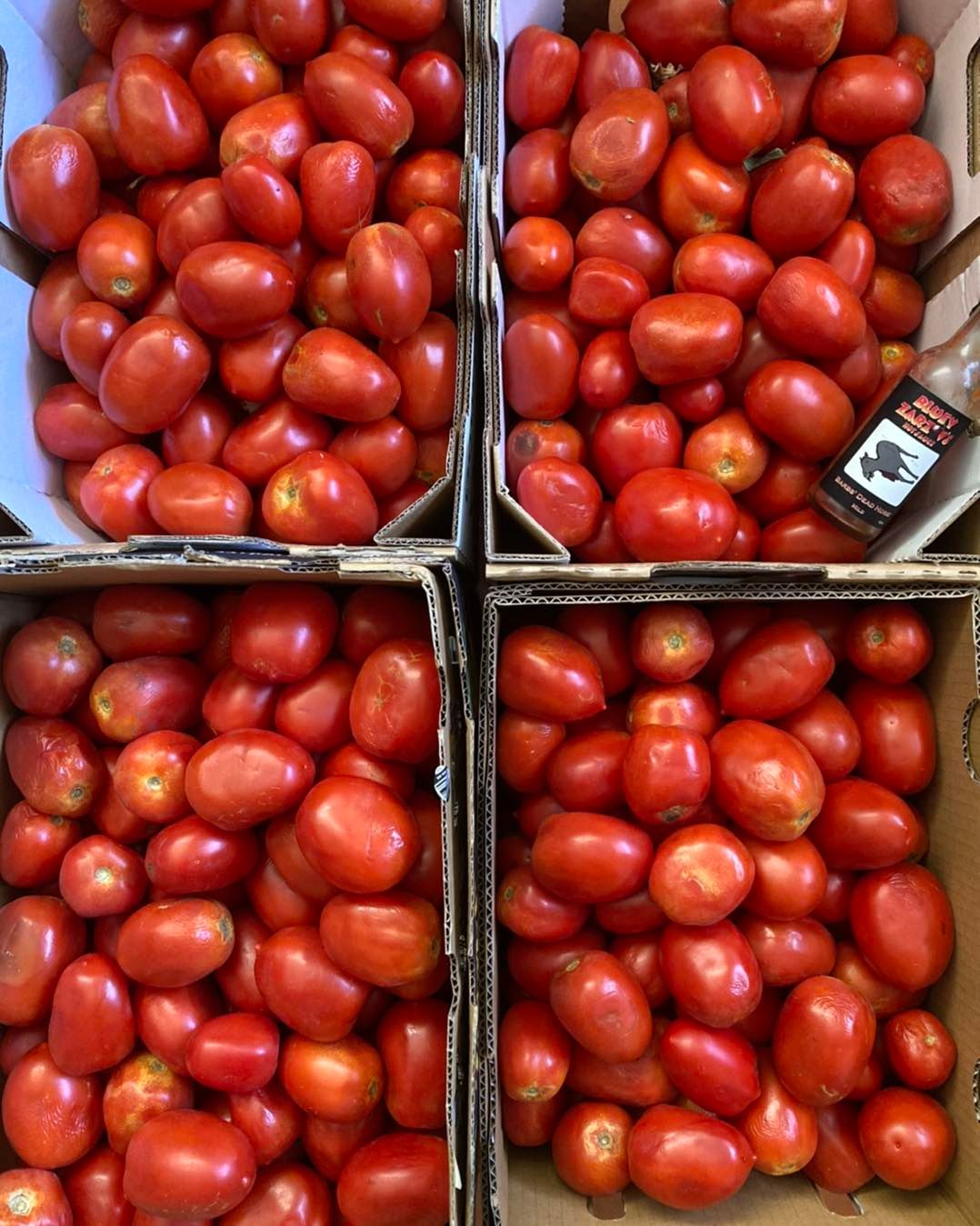Hotsauce - This is what 40kg of juicy ripe Roma tomatoes looks like ...
