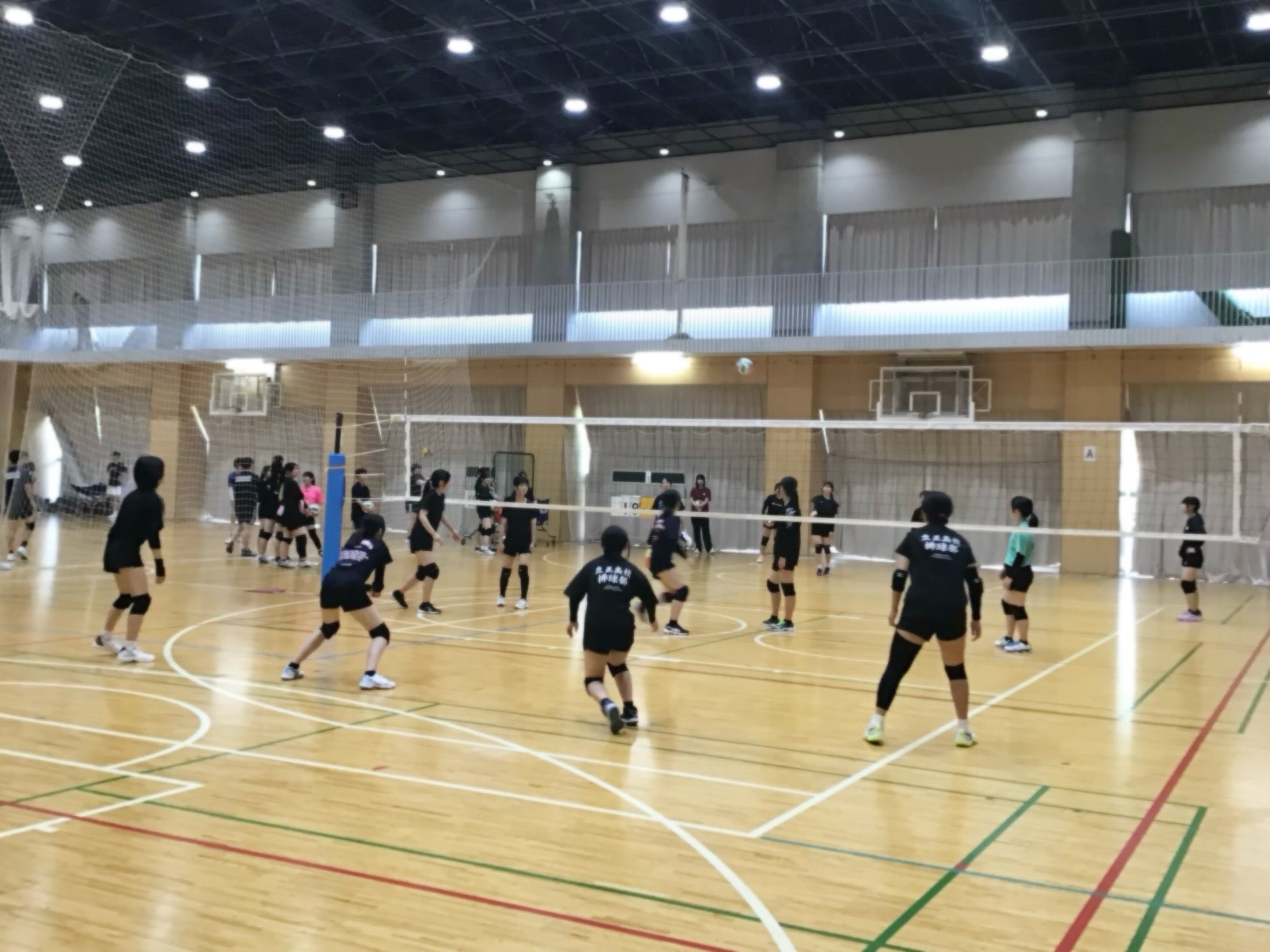 立正大学付属 立正高等学校 女子バレーボール部 | Ota-ku Tokyo