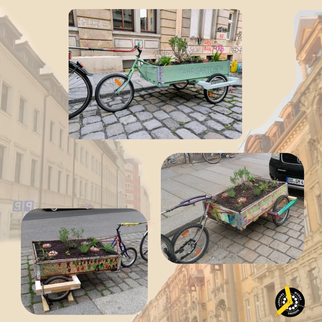 larkson fahrradrucksack Fahrradtaschen für Gepäckträger Damen & Herren Anthrazit - Tammo Bike - 2 in 1 Fahrrad Tasche Rucksack & Gepäckträgertasche Hinten Suitable for:ACE01 Kettenschaltung, Gangschaltung oder doch Displays