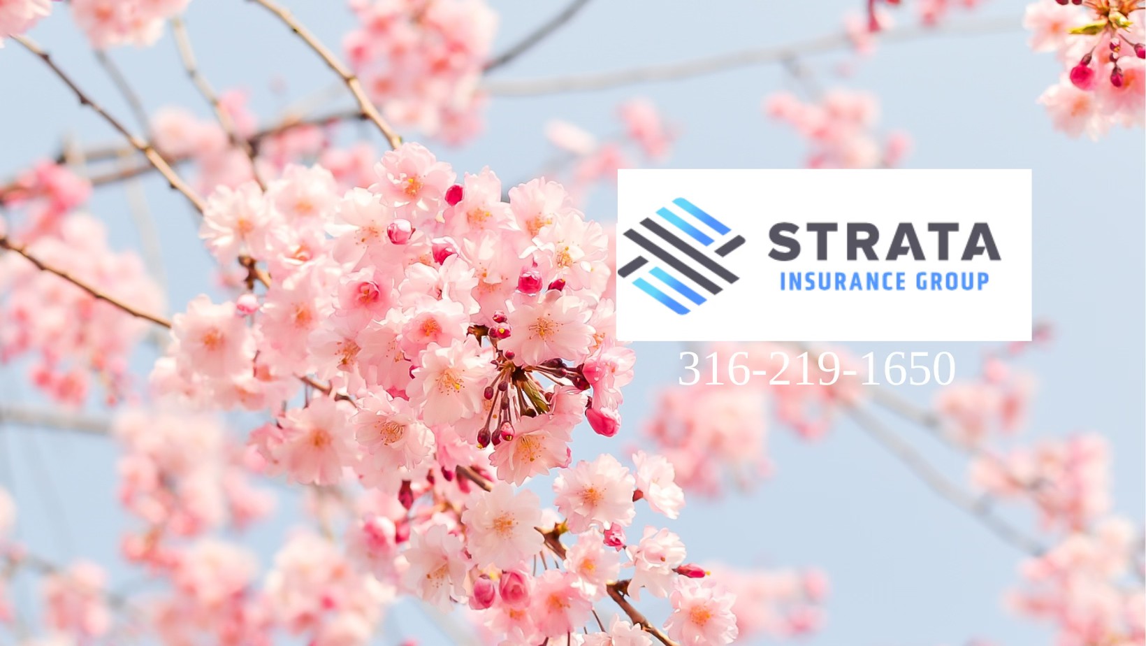 Strata Insurance Group | Wichita KS