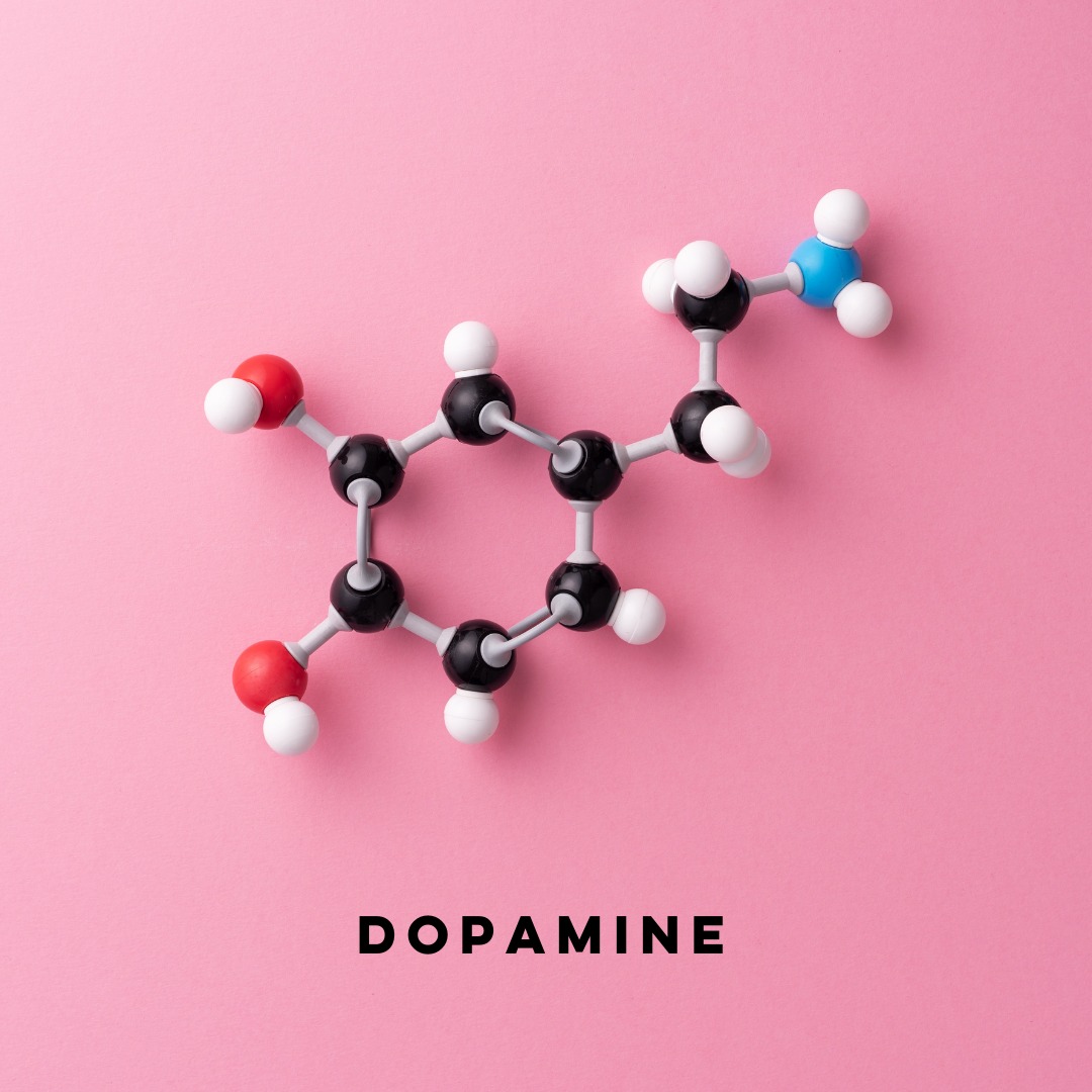 Dan Gannon - Time for Dopamine 101! According to WebMD, “Dopamine is a ...