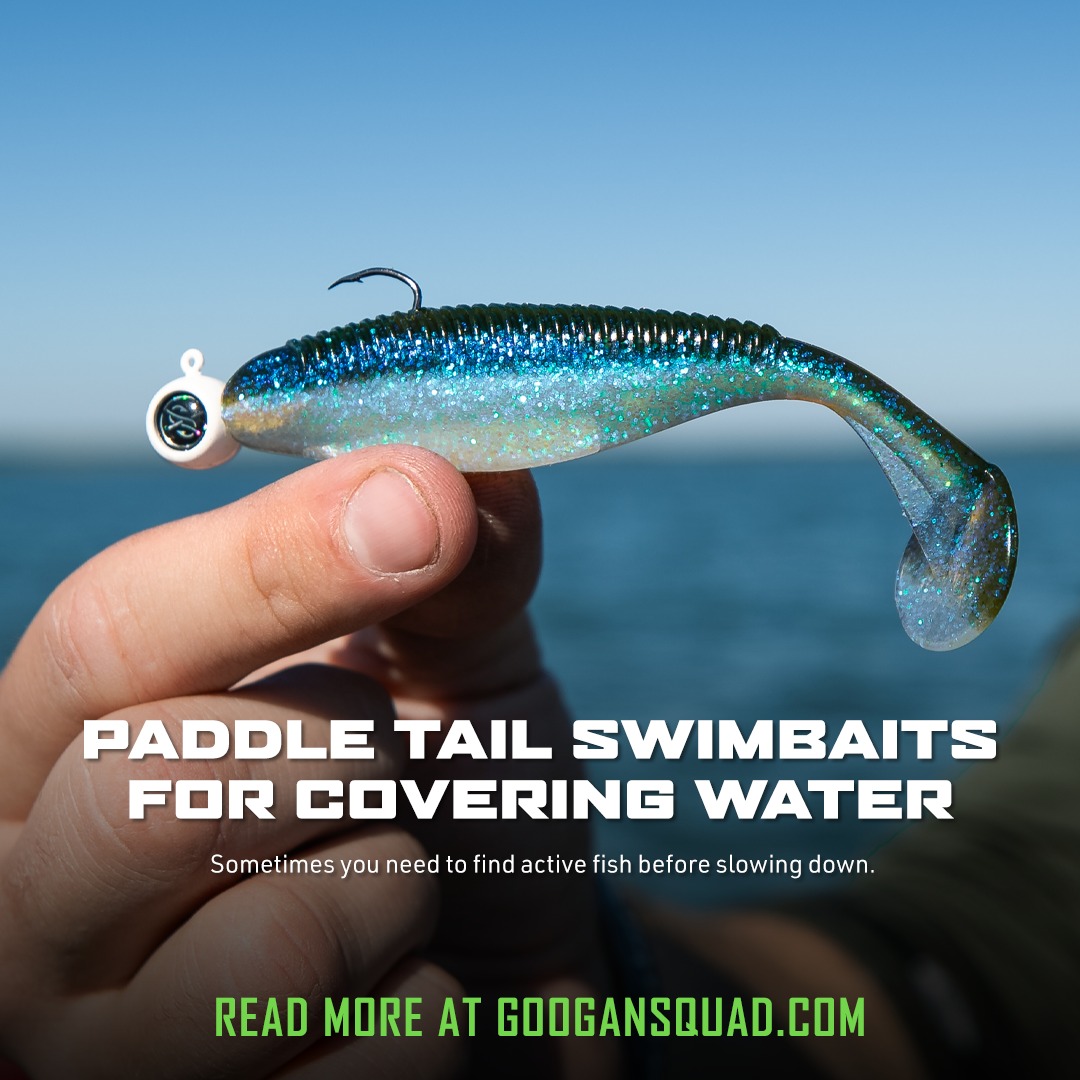 bassin's black bass hidden lures locations Tactical Bassin Underspin  Full-Size Flash & Flutter  The Fishing Factory If you do not have the time or inclination to go to the lake Bass Fishing at HOME! Black