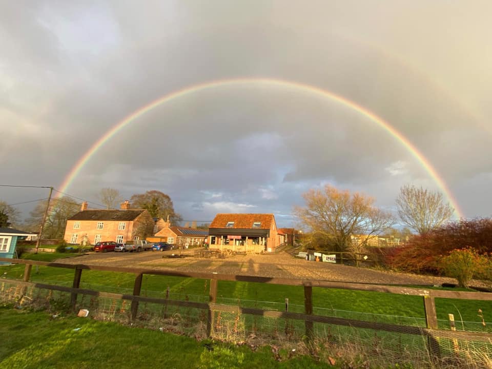 Wow! Some lovely photos of the... - Centre Paws Norfolk