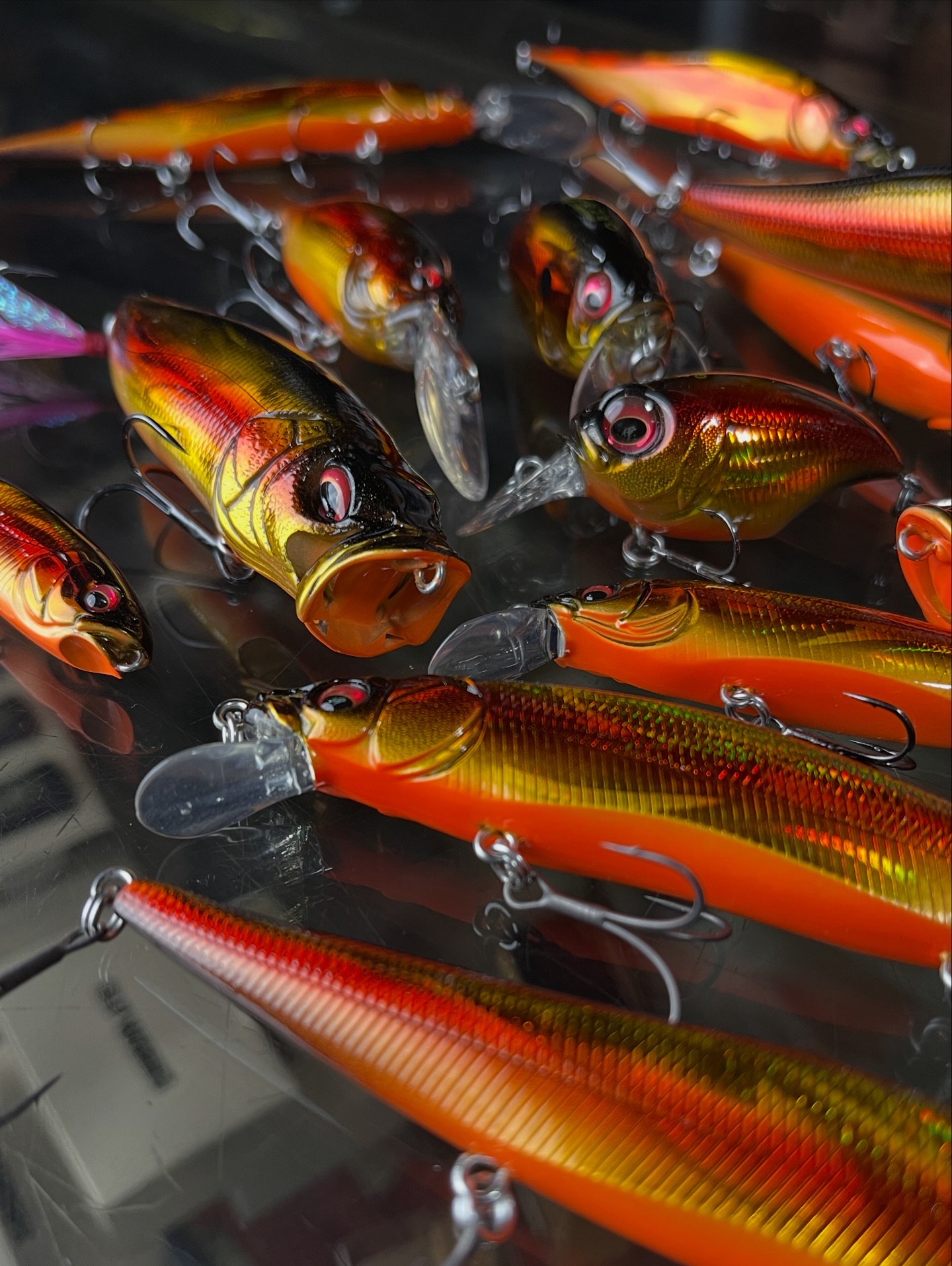 🔥 Megabass Respect Series color drop of Kasumi Magic happens