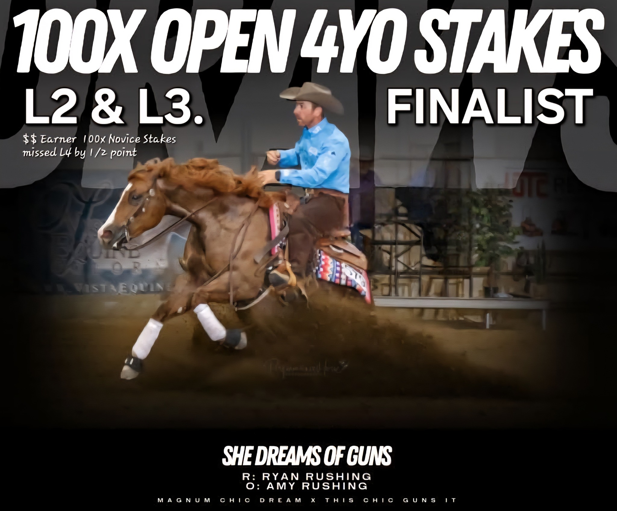 Lipps Horse Training - 2016 HF Mobster x Miss Margie Chex (Nu Chex to ...