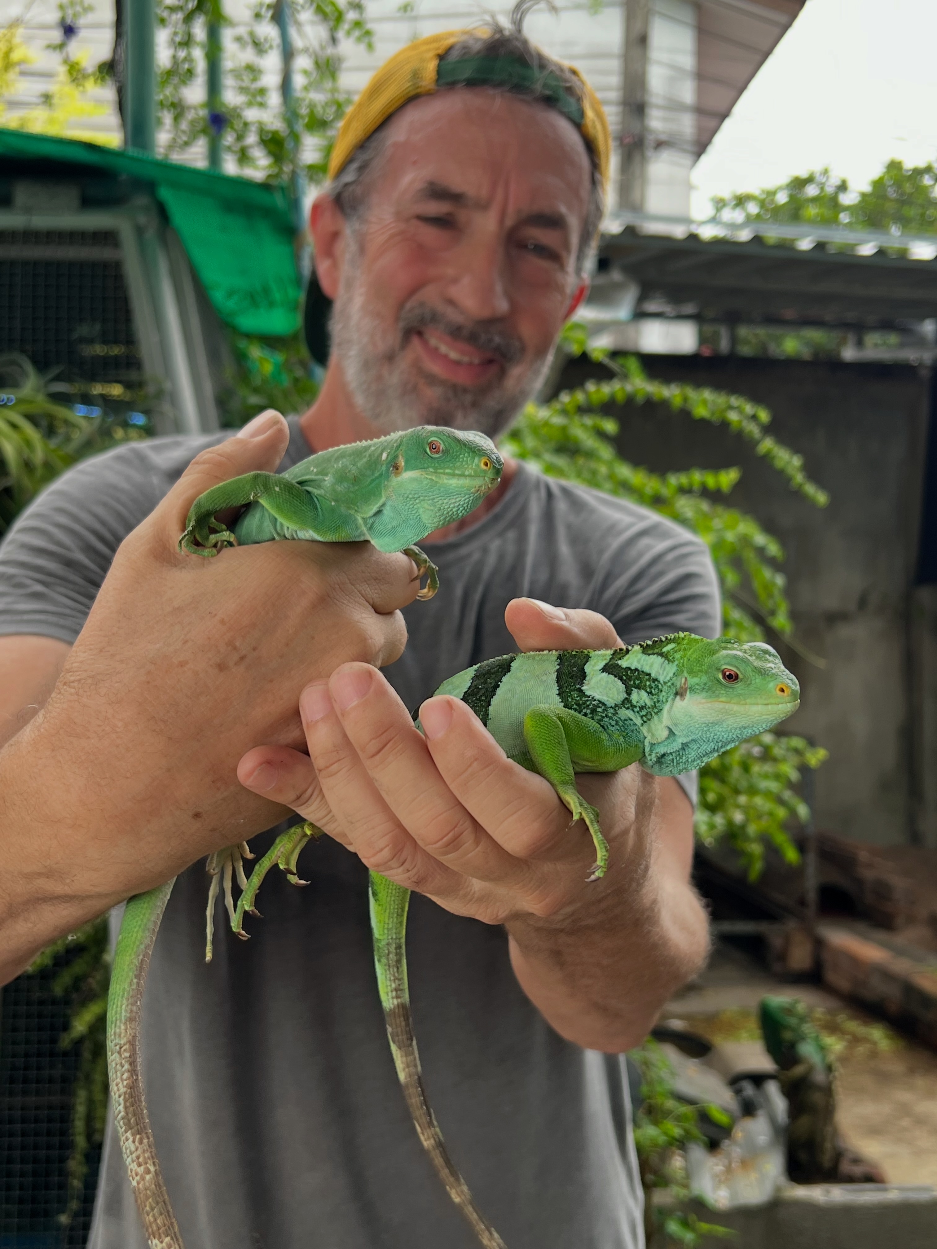 LIZARD ⚡️LOVE 🦎 What do Ozempic, Monsters of God, and Eric's high school bedroom have in common? Lizards. In honor of World Lizard Day, we dug into Eric's archive. There are Fiji