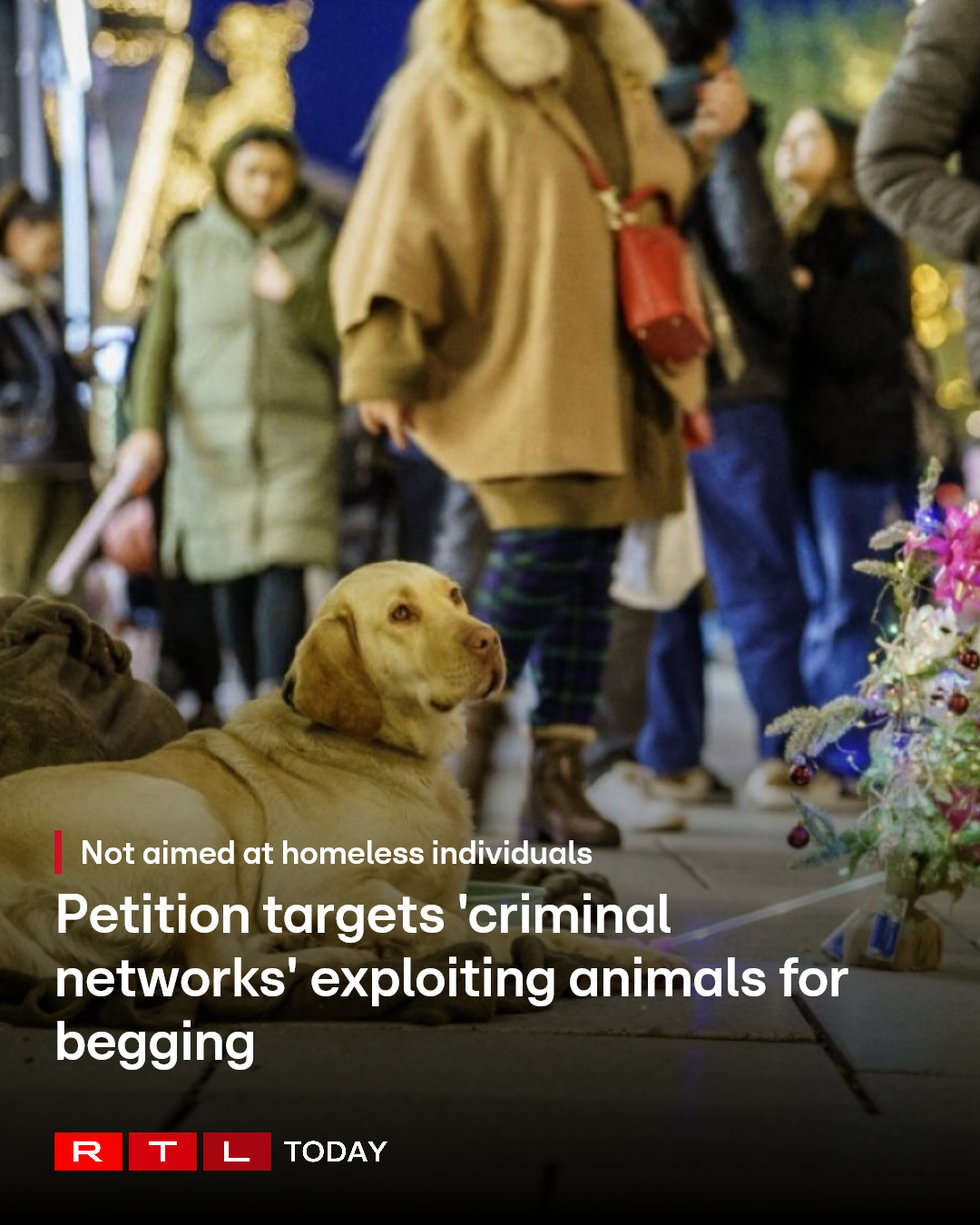 RTL Today - A petition that has gathered nearly 5,900... | Facebook