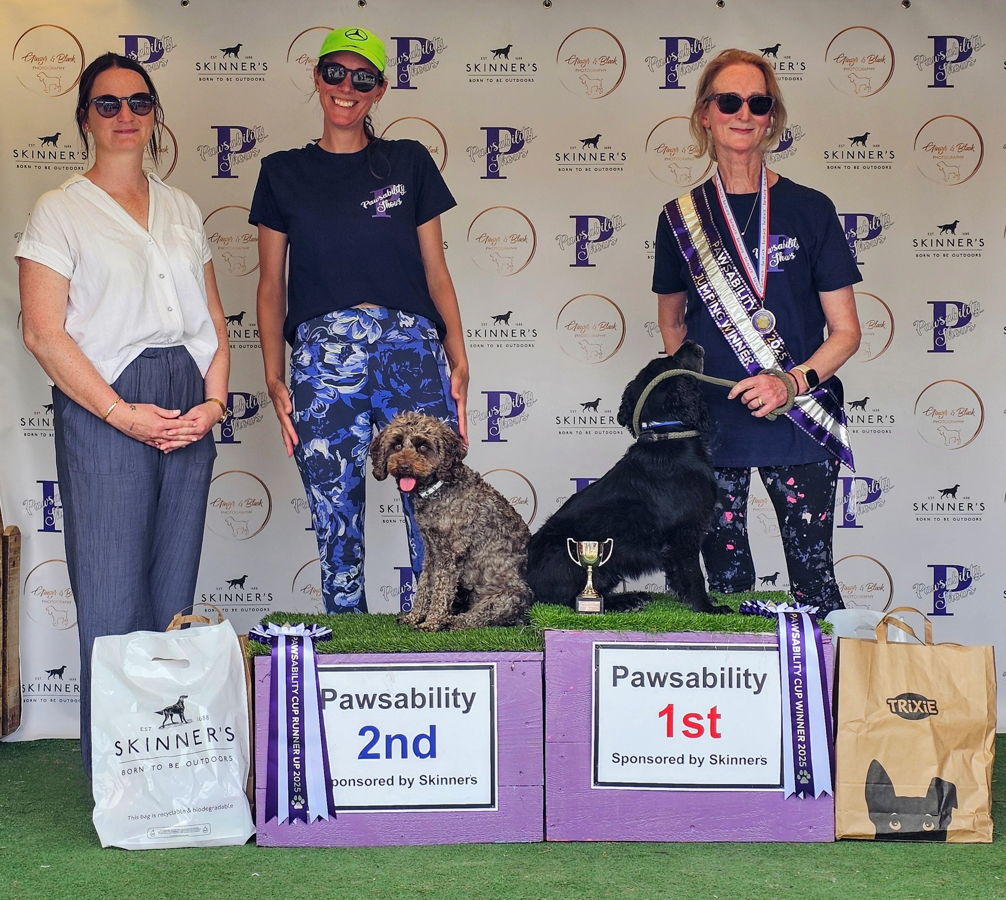 A-SIT Dog Training | Bridgwater