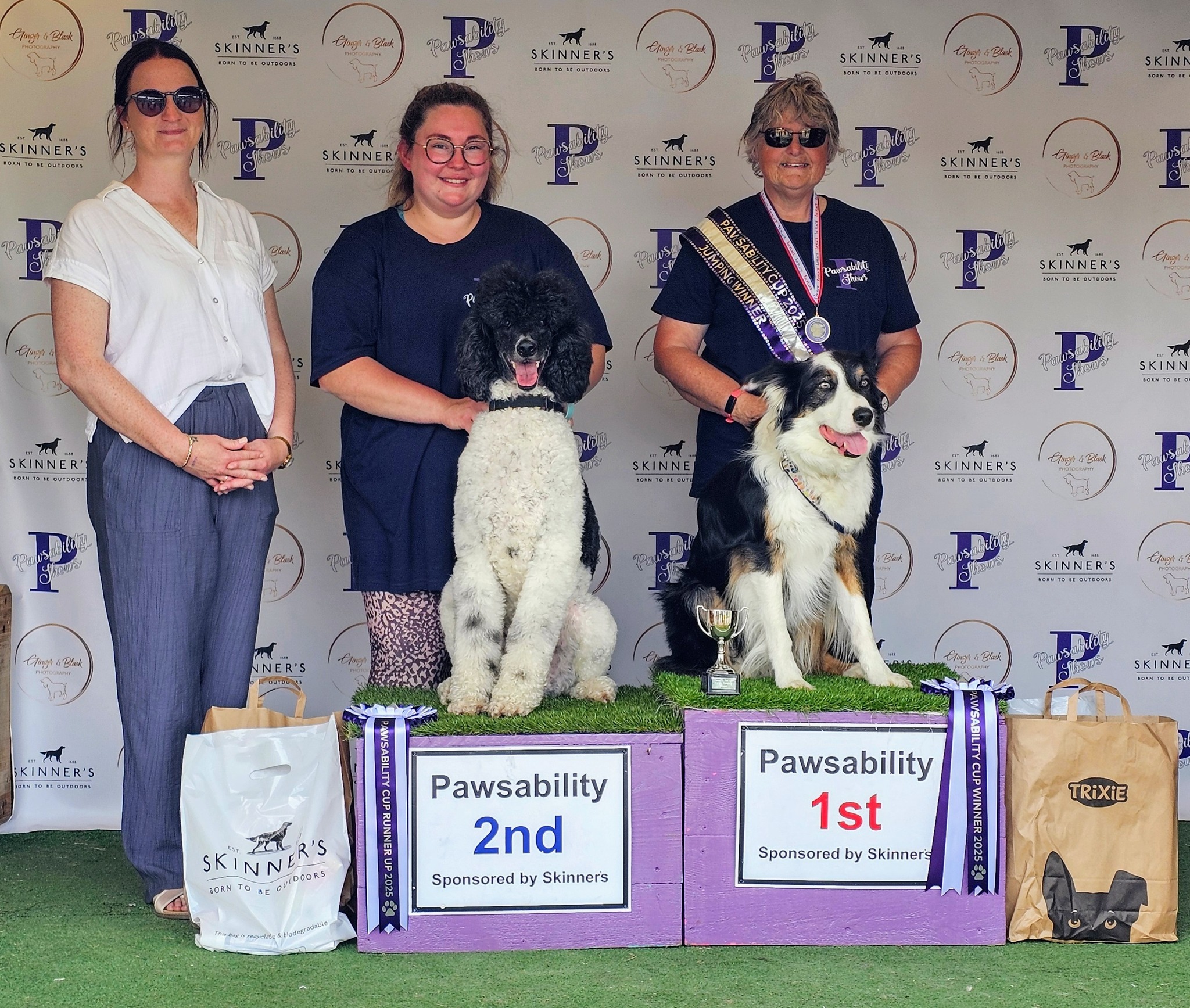 A-SIT Dog Training | Bridgwater