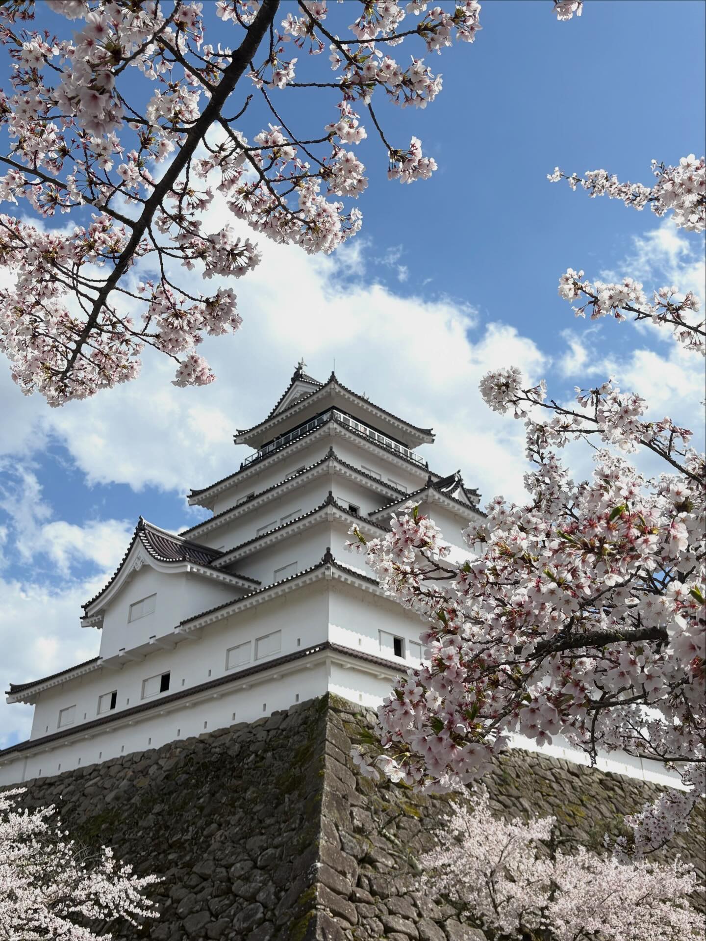 鶴ヶ城 - 鶴ヶ城 added a new photo.