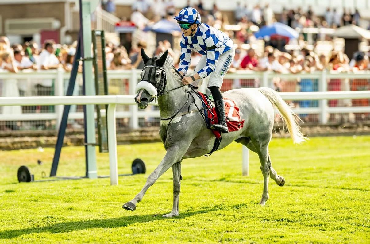 Arabian Racing Organisation... - Arabian Racing Organisation