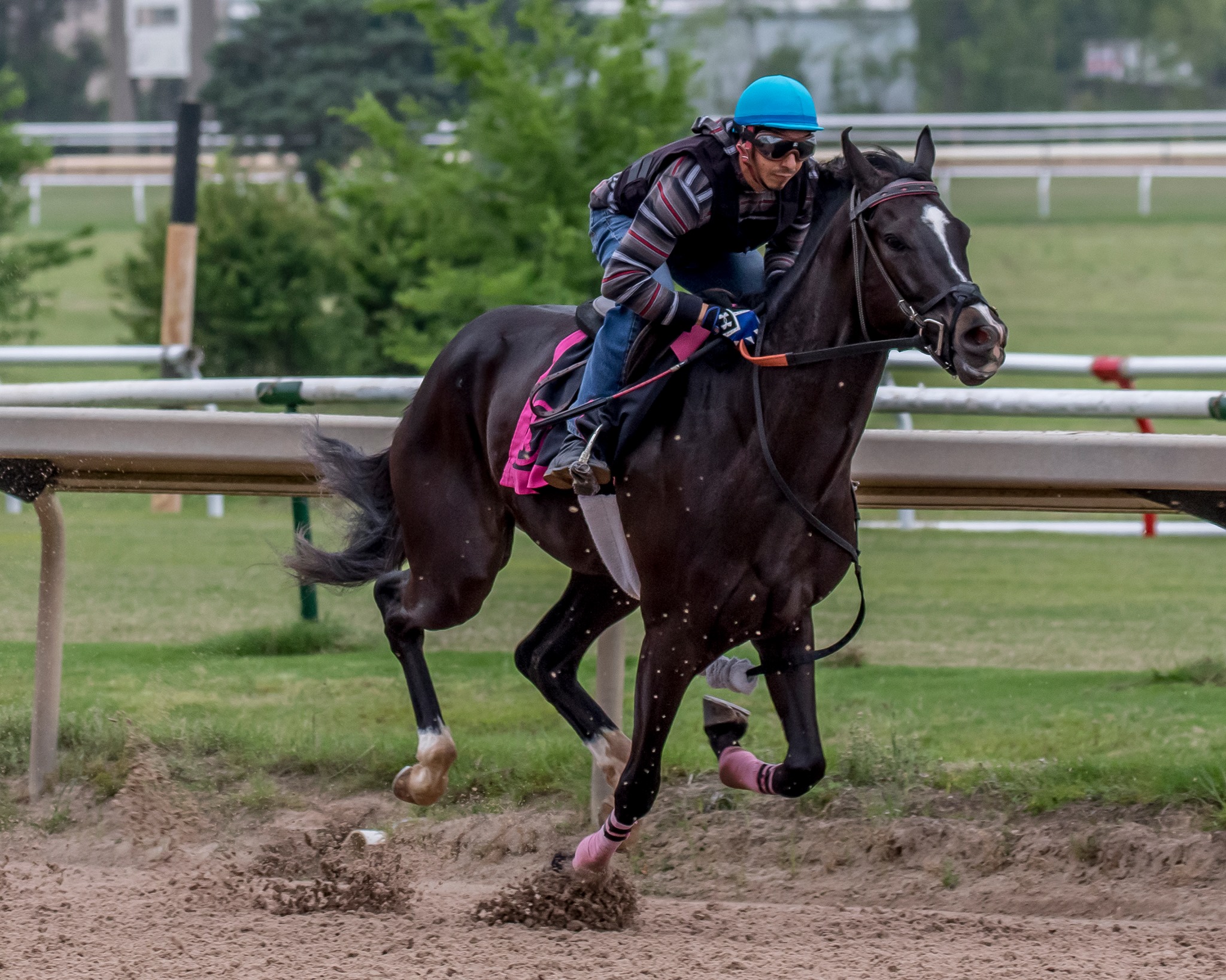 KMO Racing | New Orleans LA