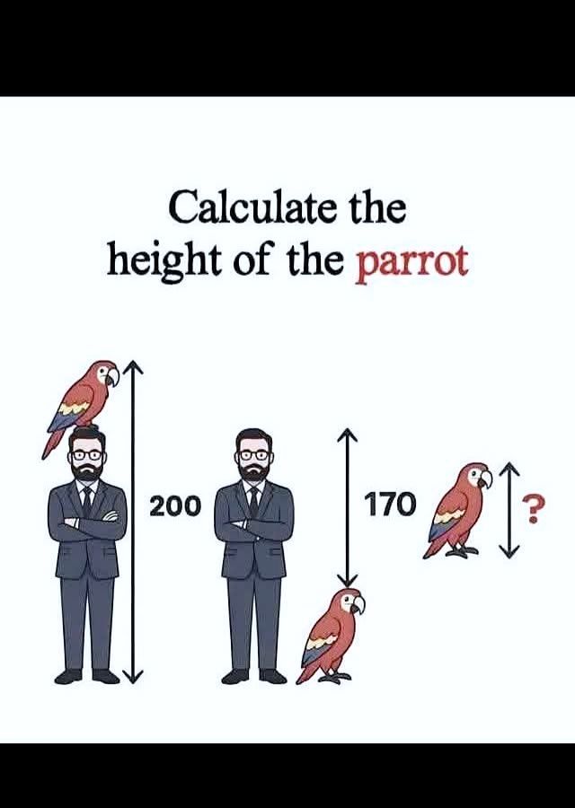 Learn Math Daily By Examples | Facebook