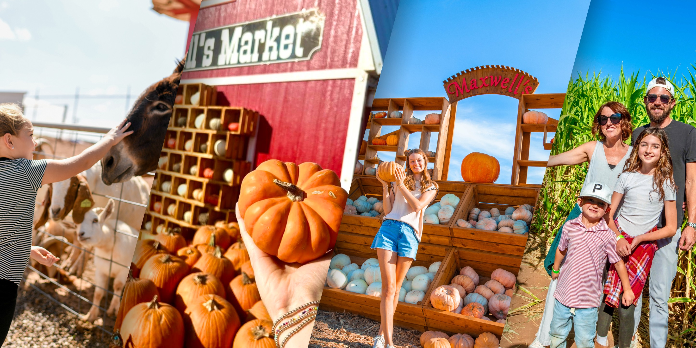 Maxwell's Pumpkin Farm | Amarillo TX