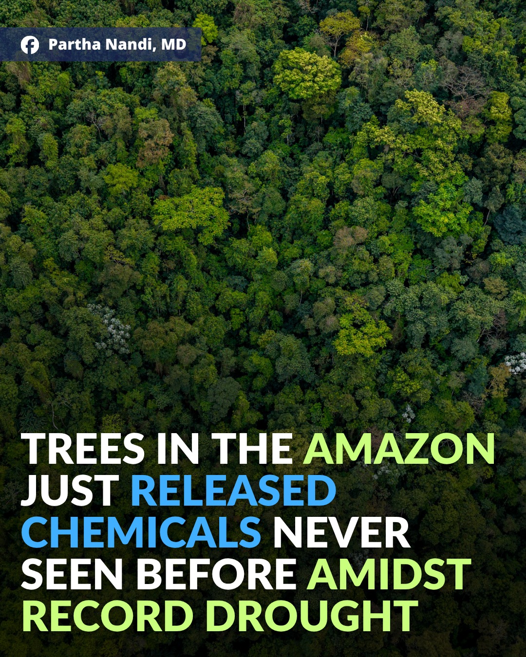 The Amazon rainforest is under intense stress from record-breaking